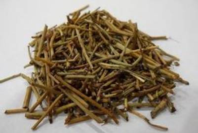 中药麻黄的副作用,中药蜜麻黄的作用