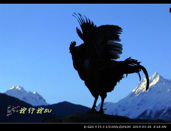 滇藏桃花源,滇藏桃花秘境