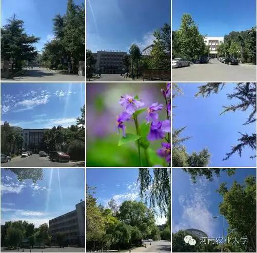 一周概览点点看，农大大事小情全知道（8.27~9.2）