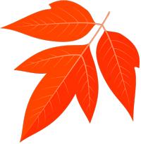 赵玉茹,赵玉茹博山