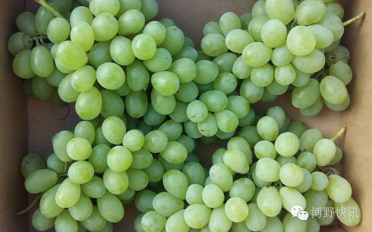 26个英文字母，带你绕着博野走一圈！