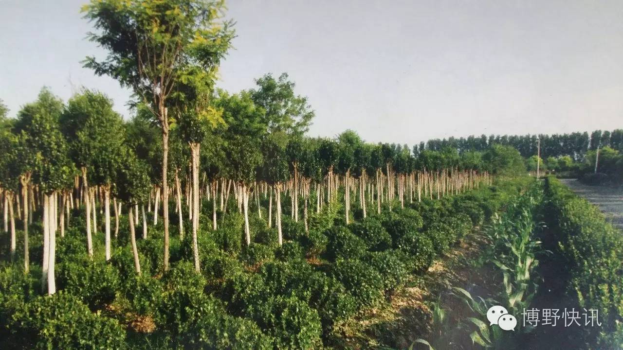 26个英文字母，带你绕着博野走一圈！