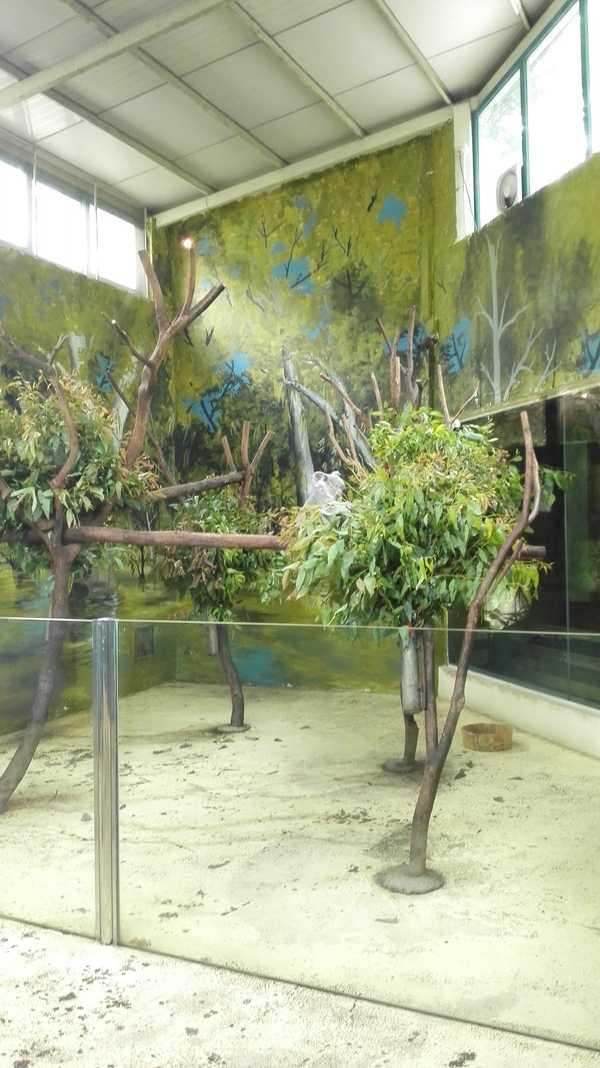 2017春节珠海广州长隆5日亲子游,广州珠海长隆五日游