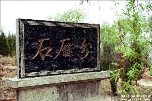 2022灞变笢鍚堟潙骞堕晣鍚嶅崟娣勫崥,2022灞变笢娣勫崥楂橀潚鍚堟潙骞堕晣鍚嶅崟