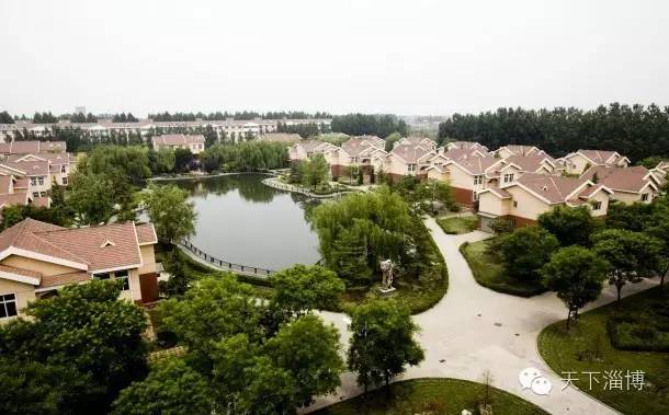 2022灞变笢鍚堟潙骞堕晣鍚嶅崟娣勫崥,2022灞变笢娣勫崥楂橀潚鍚堟潙骞堕晣鍚嶅崟