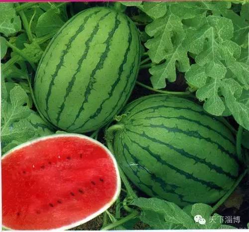 2022灞变笢鍚堟潙骞堕晣鍚嶅崟娣勫崥,2022灞变笢娣勫崥楂橀潚鍚堟潙骞堕晣鍚嶅崟