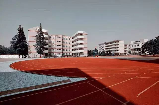 柯城这三所特点文化学校，请你来投票啦！