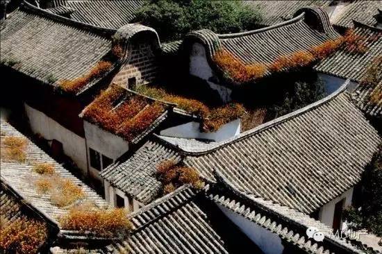 鲁迅评价房奴,鲁迅买房的烦恼