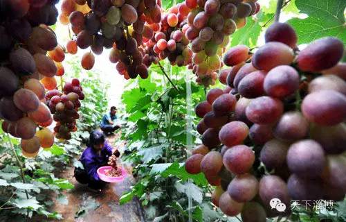 2022灞变笢鍚堟潙骞堕晣鍚嶅崟娣勫崥,2022灞变笢娣勫崥楂橀潚鍚堟潙骞堕晣鍚嶅崟