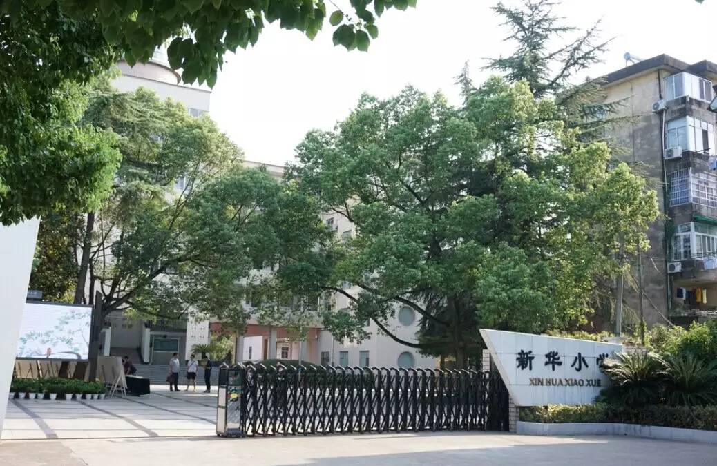 柯城这三所特点文化学校，请你来投票啦！