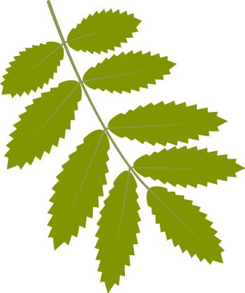 赵玉茹,赵玉茹博山