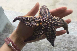 一座岛屿一片海,茫茫大海一座岛