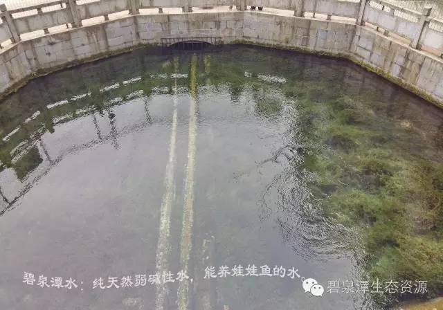 湘潭教师节福利,湘潭岳塘区新入职在编教师的待遇