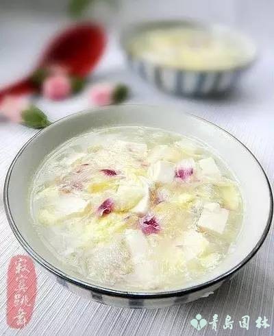 倔强的木槿花,温柔的木槿花