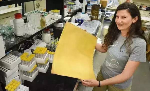 不懂常识是书呆子吗,有人说认真学习的是书呆子怎么怼