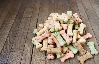 养不起自己一个月生活费视频,养不起来的狗多少钱