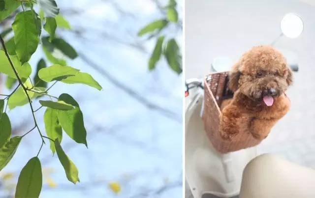 从出租屋搬到自己已经住过的家,从出租房搬到新家视频