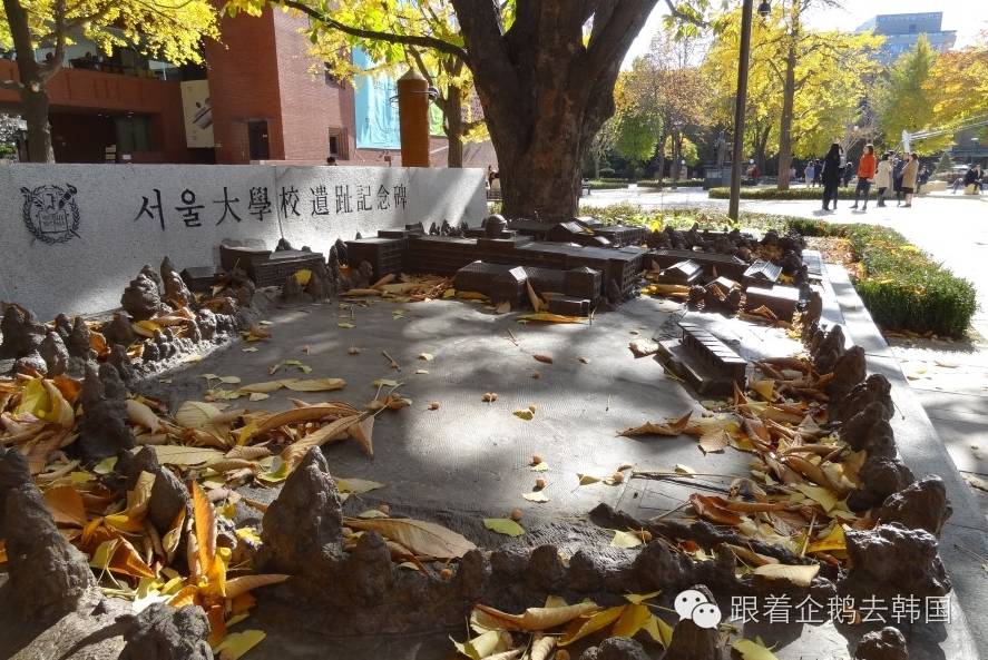 小清新不一样,小清新韩国女装