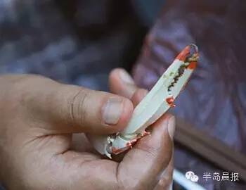 中秋适合吃大闸蟹么,中秋前要吃大闸蟹吗