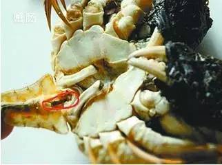 中秋适合吃大闸蟹么,中秋前要吃大闸蟹吗