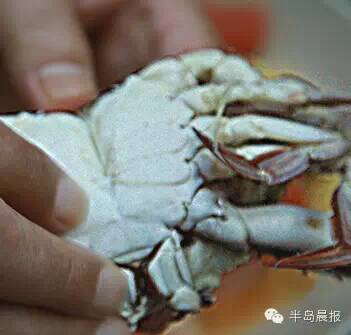 中秋适合吃大闸蟹么,中秋前要吃大闸蟹吗