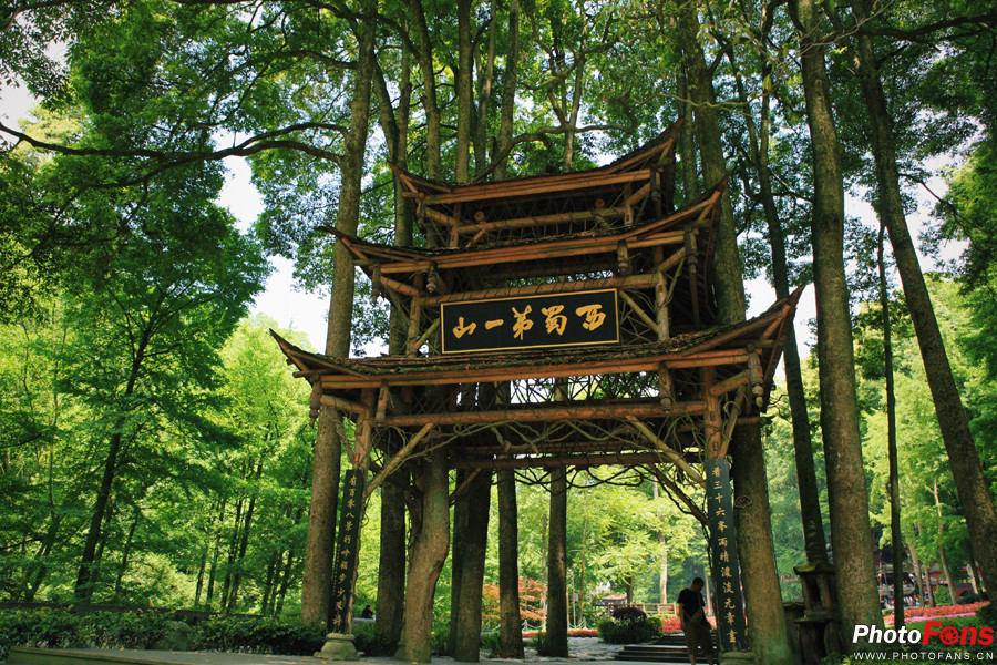 标致308更帅更稳,2023年颜值实力并存的一款新车