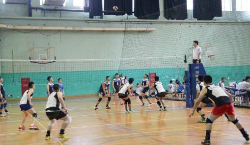2020年上海市排球联盟比赛,业余排球比赛现场