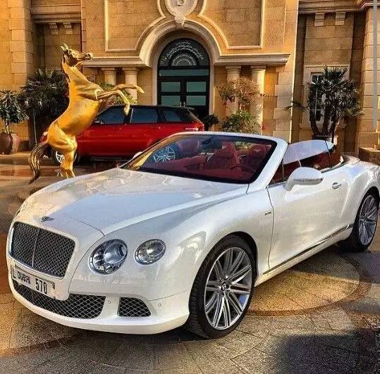 迪拜落地签与旅游签区别,迪拜旅游落地签2023