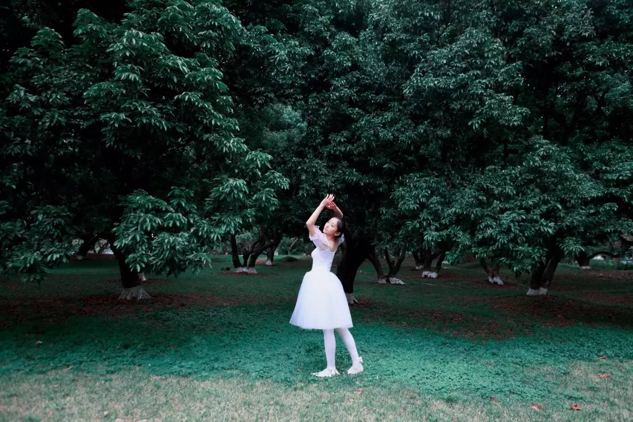 今日摄影师推荐｜未羊NAUIL