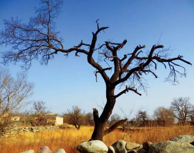 鏄庢槦鐜拌韩閾跺窛,鏄庢槦绌洪檷閾跺窛