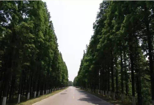 26个英文字母带你看懂我们大如东！