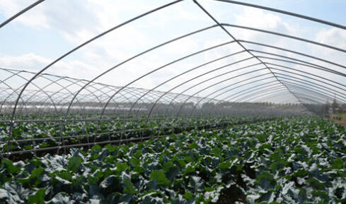 26个英文字母带你看懂我们大如东！