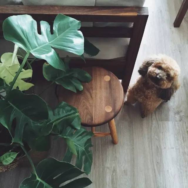 从出租屋搬到自己已经住过的家,从出租房搬到新家视频