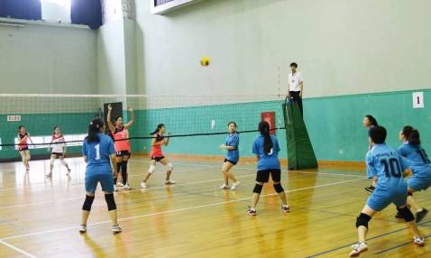 2020年上海市排球联盟比赛,业余排球比赛现场