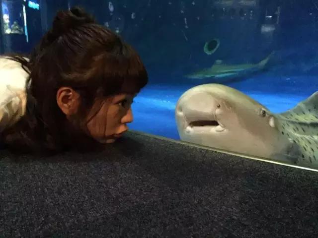 女孩子去海洋馆穿什么,带女生去海洋馆合适吗