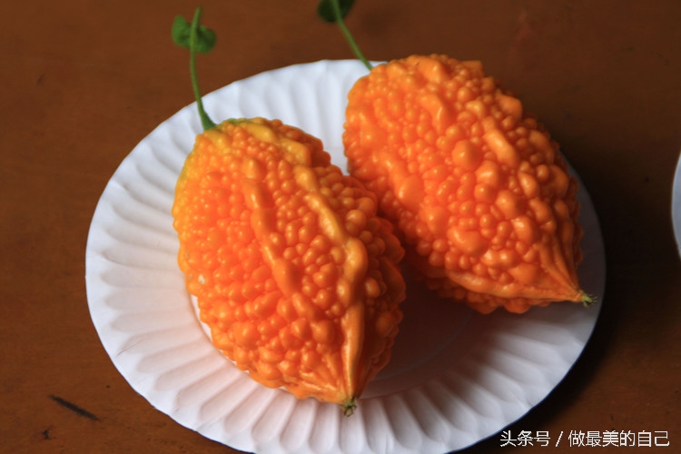 苦瓜你是吃的苦，还是吃的健康呢？