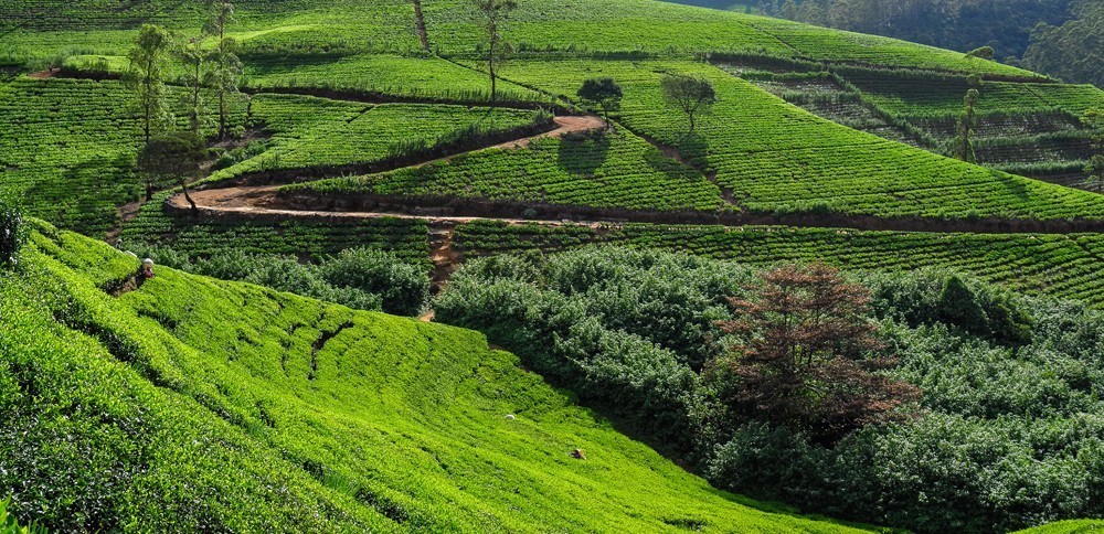 海岛旅游签证,海岛签证推荐