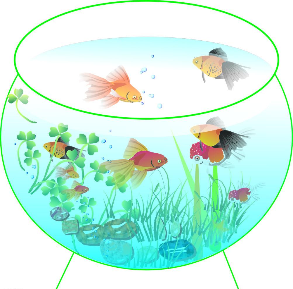 2022年家里鱼缸摆放位置风水图,家里养鱼鱼缸摆放在墙角上合适吗