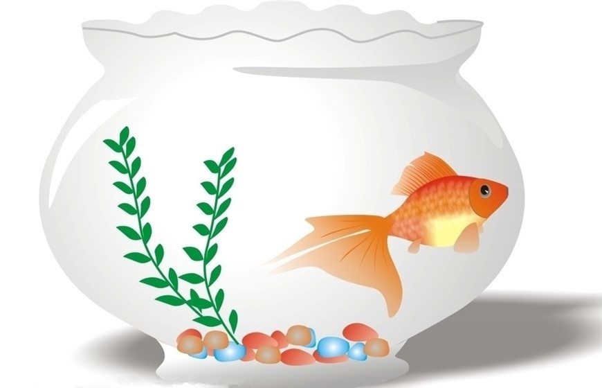 2022年家里鱼缸摆放位置风水图,家里养鱼鱼缸摆放在墙角上合适吗