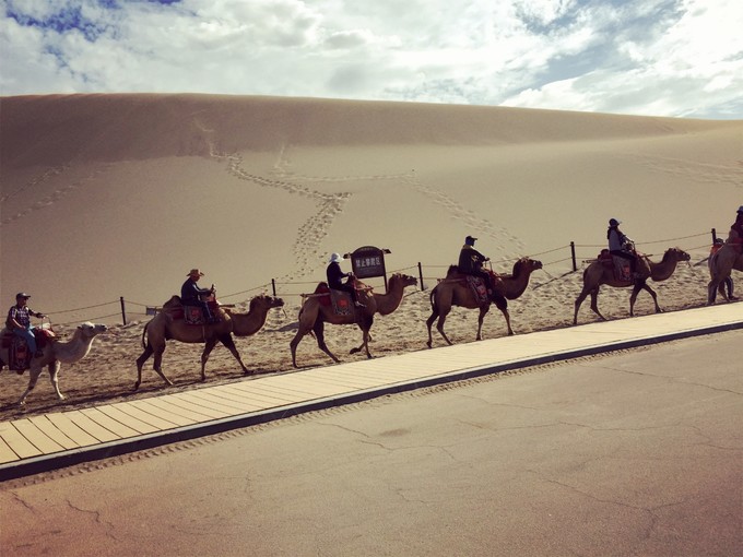 青海大西北之旅 (西宁青海湖张掖敦煌夏季之旅)