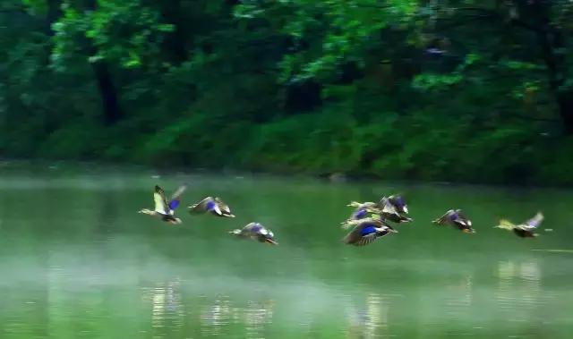 阆中韩娥,花木兰扮演者韩娥