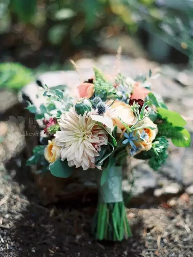 媳妇一定要给婆婆买的礼物,媳妇怎么高情商要婆婆买东西