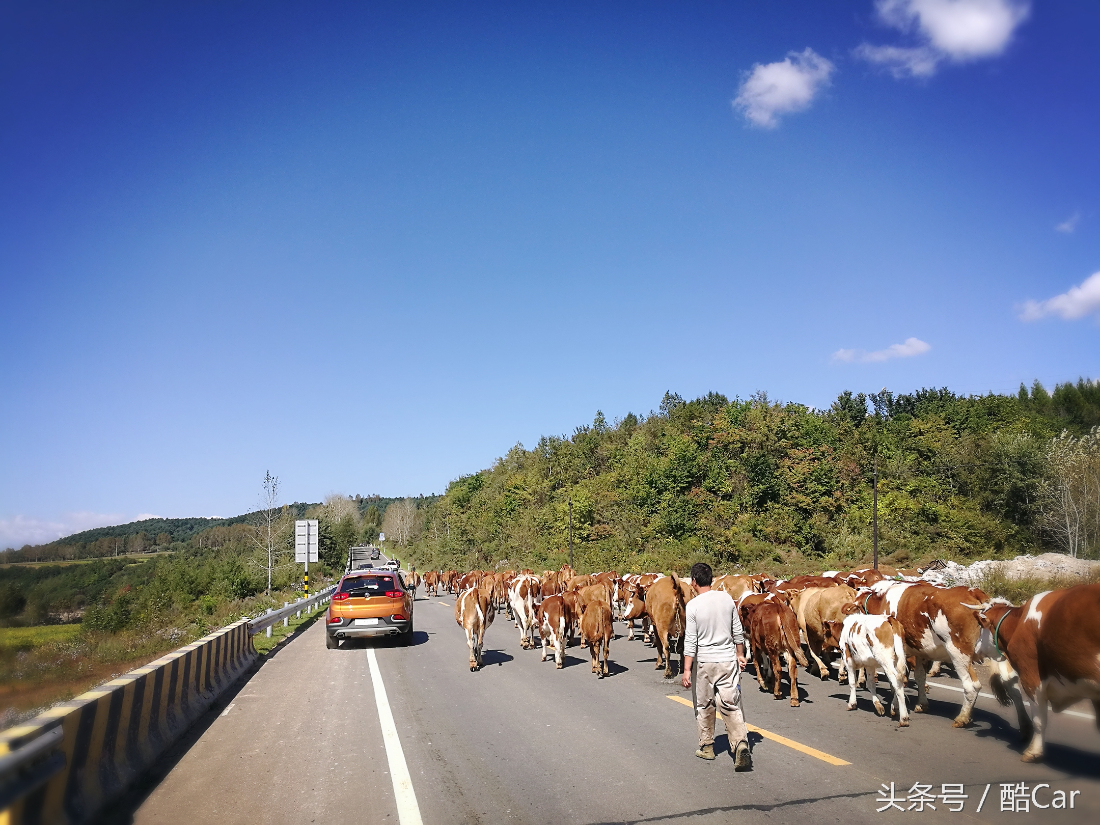 深圳市名爵锐腾2.0t高速驾驶体验,19款名爵锐腾试驾体验