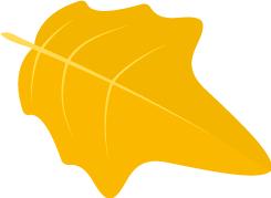 寿县三中老校区拆迁,寿县三中学校最新消息