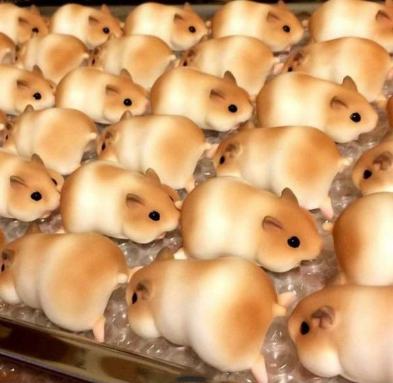 我们最喜欢的美食舔屏,各种美食舔屏图片