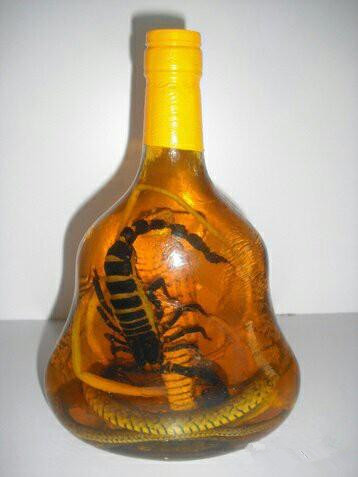 冷段子笑话经典篇,史上最强的十则笑话笑点低的勿入