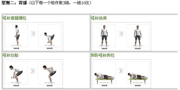 哑铃凳和哑铃健身计划,哑铃居家健身一周计划