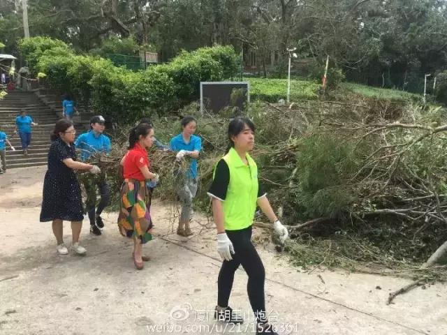 台风后的厦门值得一看,台风过后的厦门依然美丽