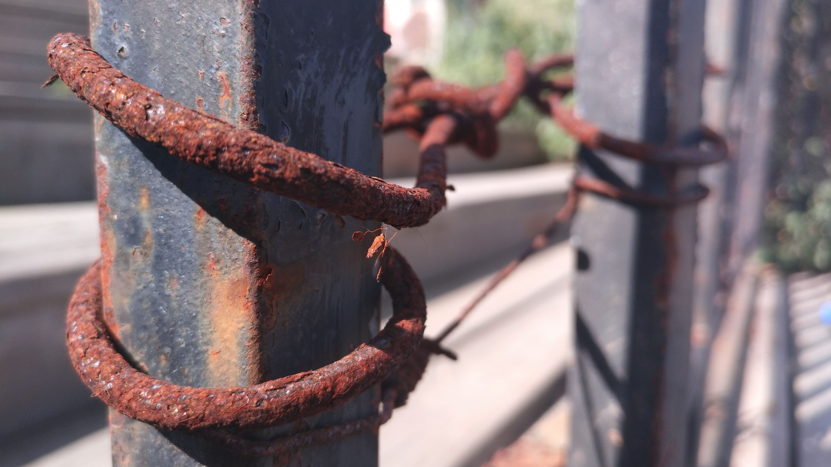 大王叫我来“巡街”：大连星海广场、星海公园、黑石礁