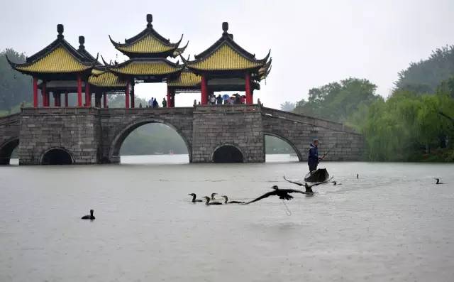 瘦西湖等14家长三角旅游景区推电子旅游护照，实现“一照通”